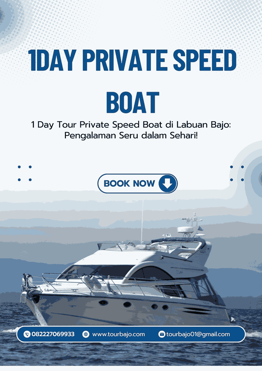 1day speed boat