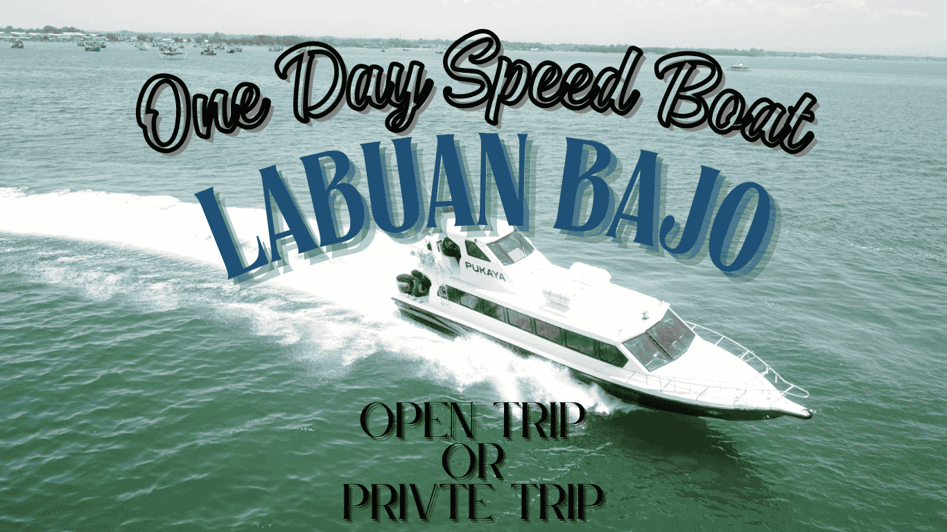 1 day speed boat